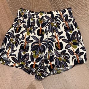 Zara Shorts